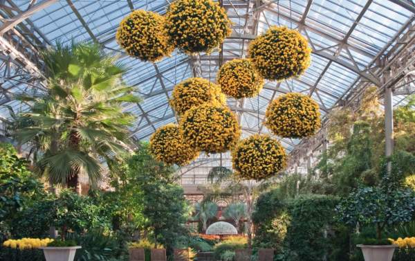 Longwood Conservatory - Article