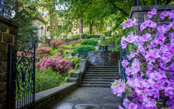 Winterthur Museum & Library