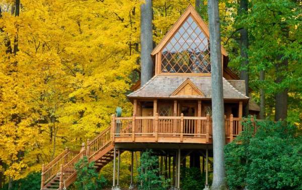 Longwood in the Fall