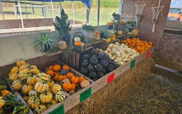 King's Pumpkin Farm