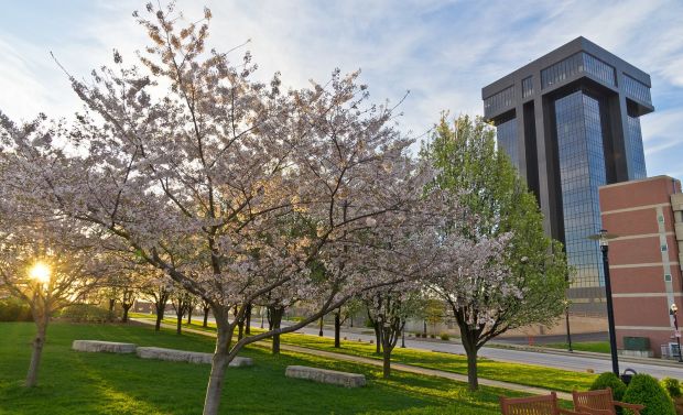 Spring in Springfield