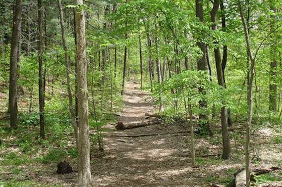 Bird Hills Nature Area