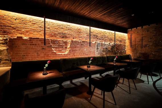 Root Rabbit Hole Rabbit Hole | Destination Ann Arbor