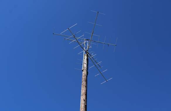 A New Chapter in Conservation: Motus Tower Installed at Caw Caw Interpretive Center