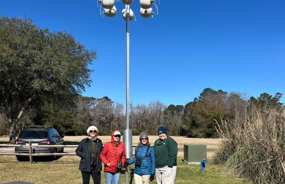 Creating a Home for Purple Martins at McLeod Plantation