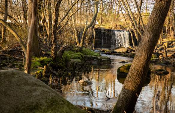 Waterfall & stream