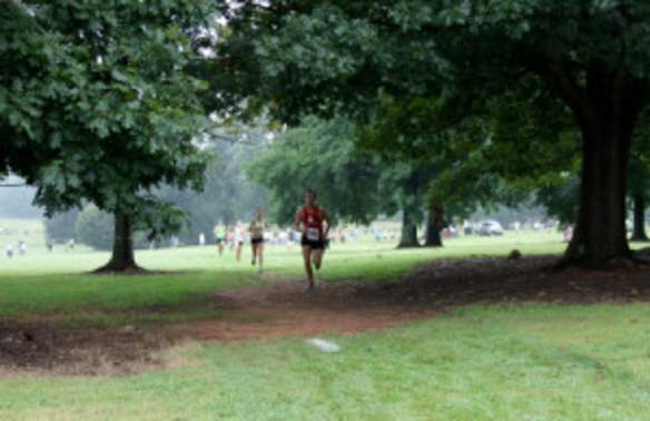 Milliken - Runners through trees