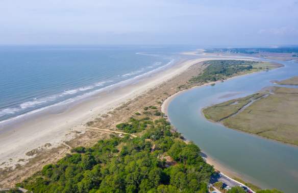 Junior Naturalist: Barrier Island Ecology