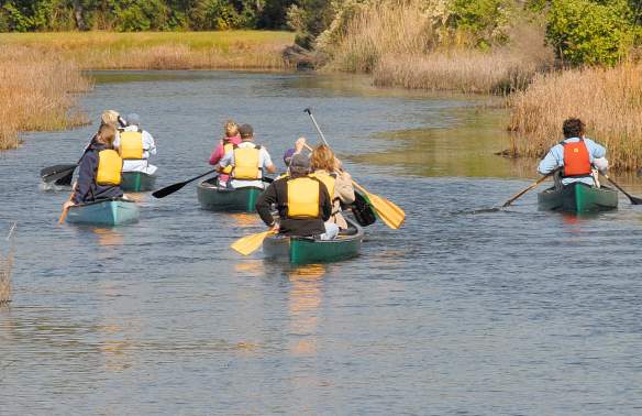 Tea Farm Creek Canoe Trip