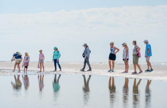 Seashore Exploration