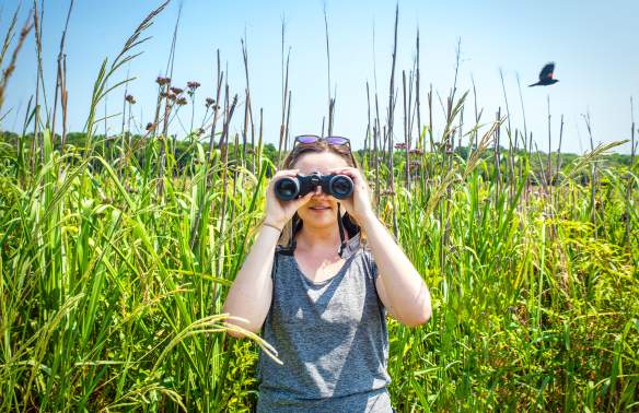 Early Morning Bird Walk at Caw Caw