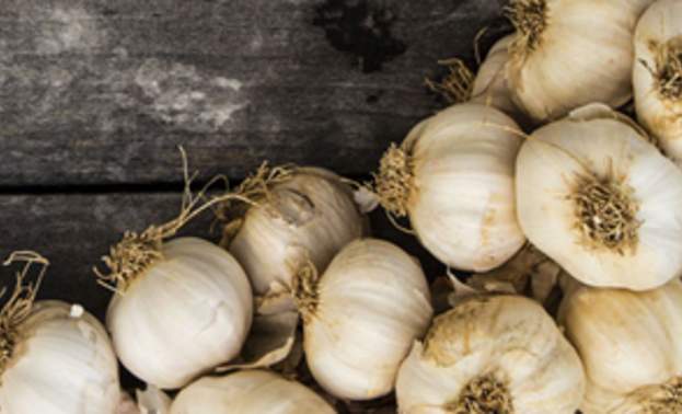 garlic bulbs