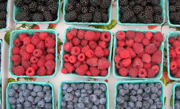 Gilroy Farmers Market