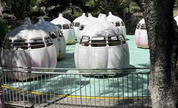 Garlic Ride