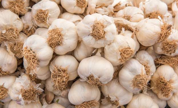 Garlic Shoppe