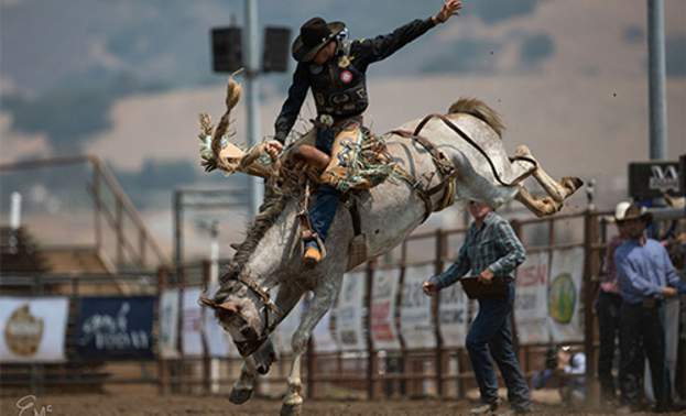 Gilroy Rodeo