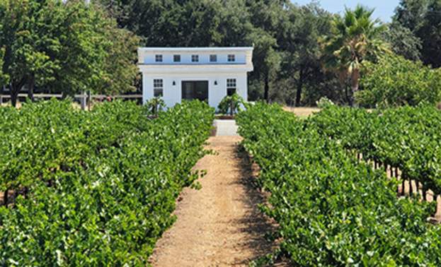 Cinnabar Vineyards & Winery Gilroy Tasting Room