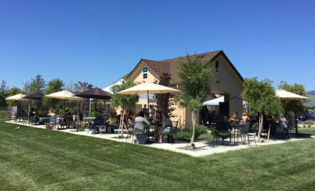 Lion Ranch Vineyards & Winery