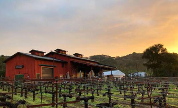 Martin Ranch Winery