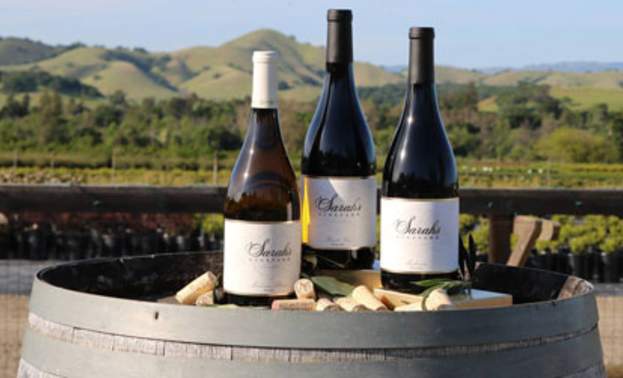 Sarah's Vineyard