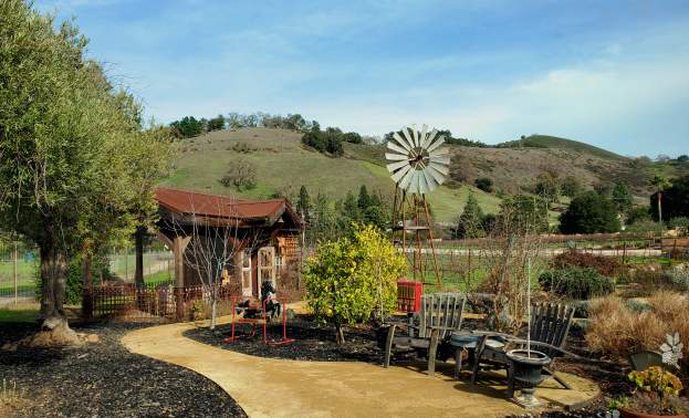 Horse Thief Vineyard
