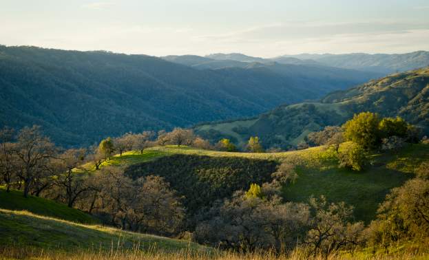 Steer Ridge Loop at Hunting Hollow