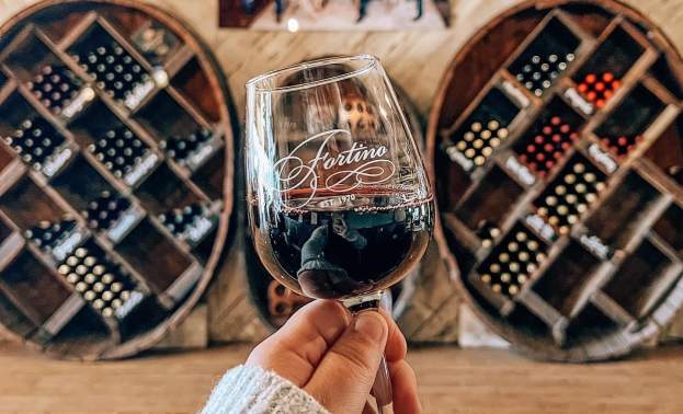 Fall Market at Fortino Winery