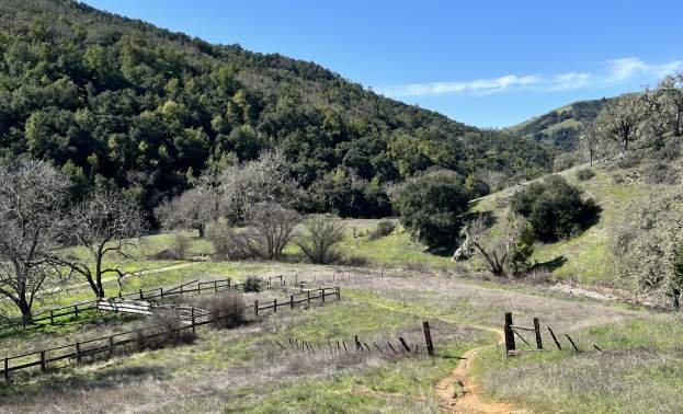 Henry W. Coe State Park