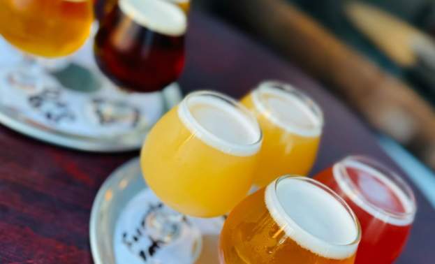 Promised Land Brewing Company