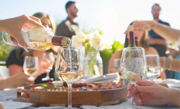 Music in the Vineyard