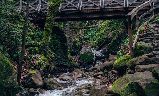Uvas Canyon County Park