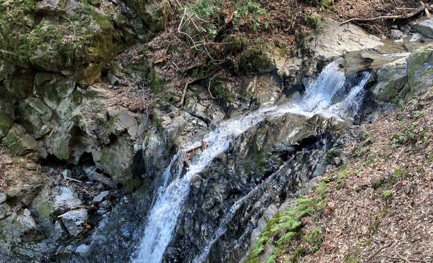 Uvas Canyon Waterfall Loop