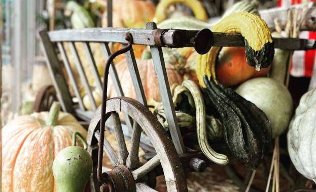 Ashford's Heirlooms