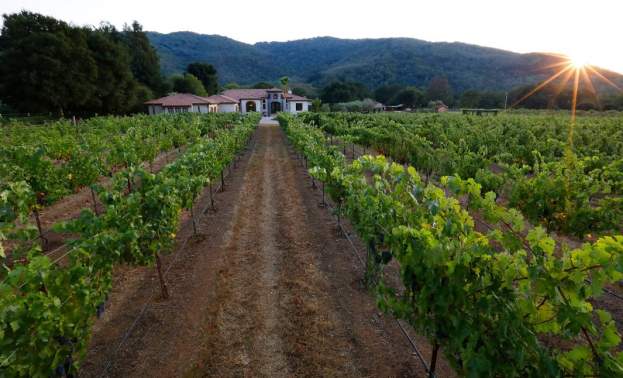 Cottage Creek Vineyard