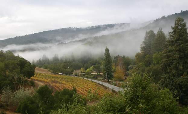 Fernwood Cellars