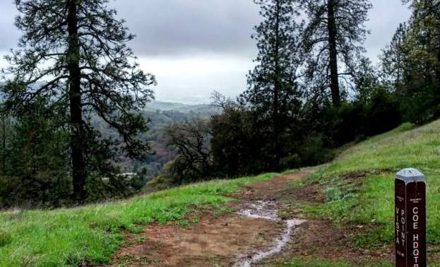 Frog Lake Loop