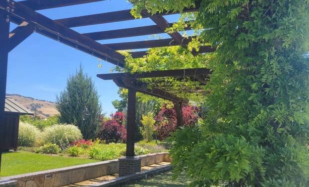 Miramar Vineyards