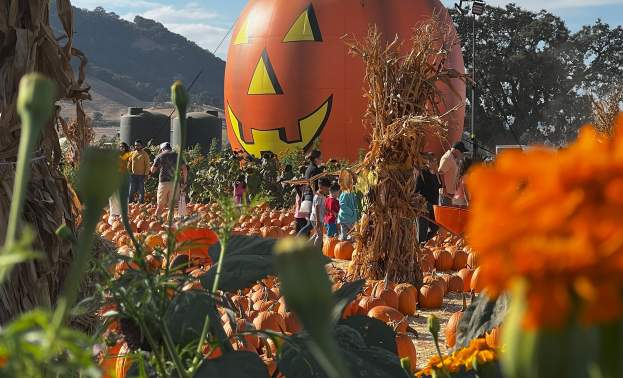 LJB Farms
