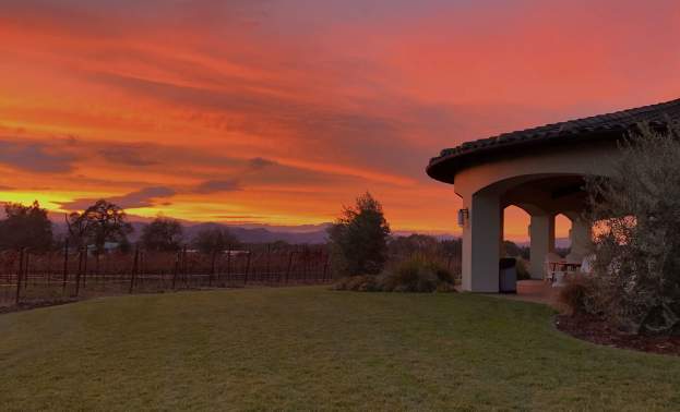Verde Vineyards