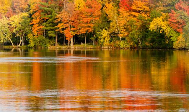 A Not-So-Hidden Gem: Rothschild, Wisconsin