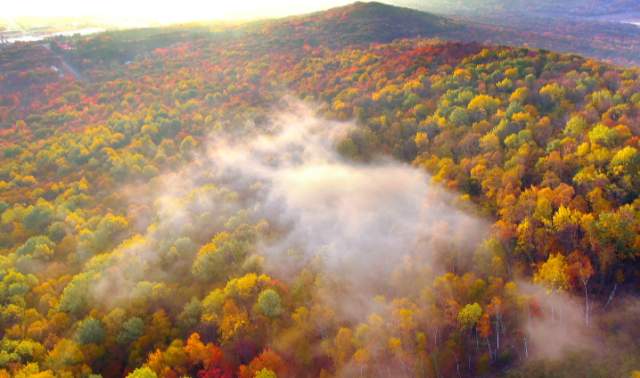 Day After Day: A Wausau Fall Itinerary Blog