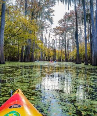 View of Lake Bistineau from a Red Kayak