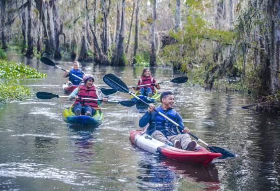 Fall on the Water: Kayaking and Paddleboarding