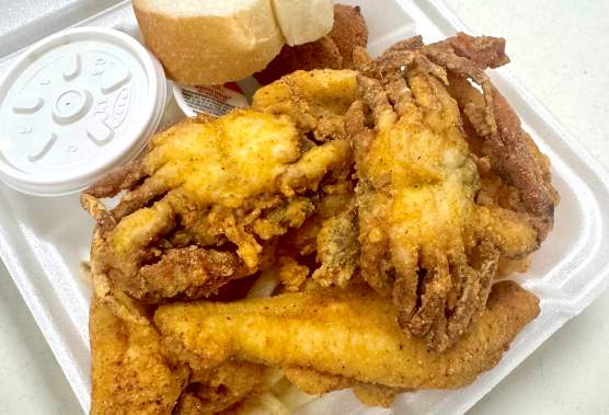 From Carnival to Lent: A Northshore Tradition Rooted in Faith, Food, and Community