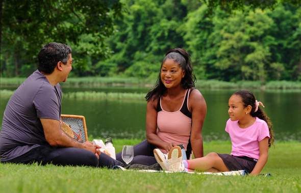 Family Picnic