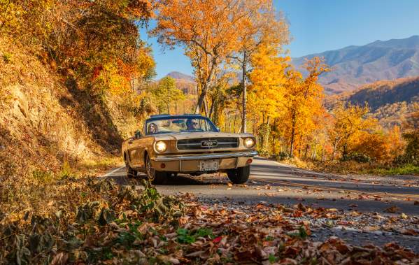 5 Fantastically Fun Reasons to Visit Gatlinburg This Fall