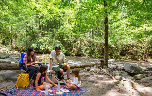 Top 8 Things to Do This Summer in Gatlinburg