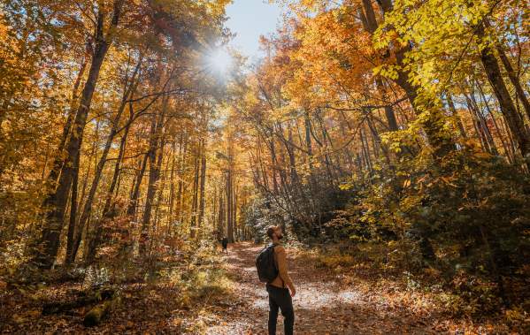 Hiking in Gatlinburg: All Trails Lead to Autumn
