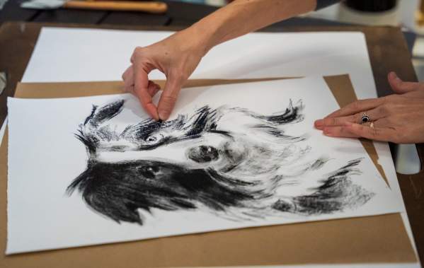 Charcoal Dog Drawing