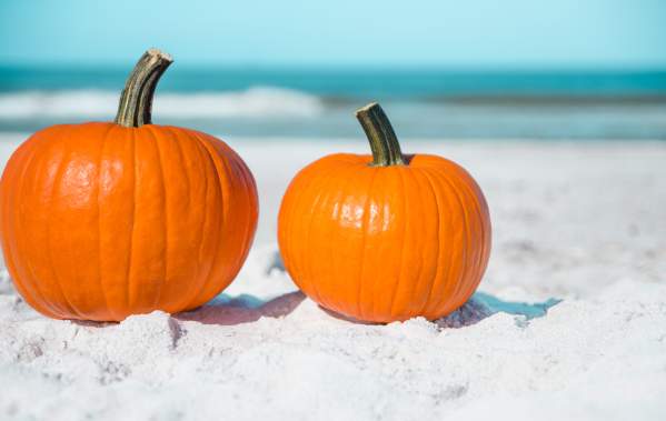 Grateful Getaway: Thanksgiving on THE Island